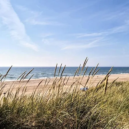 Ix بيت للعطل Ringkøbing